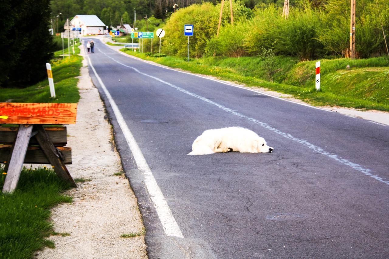Kremenaros Hostel Ustrzyki Gorne Bagian luar foto